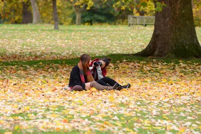 DSC_0595 (Large).JPG